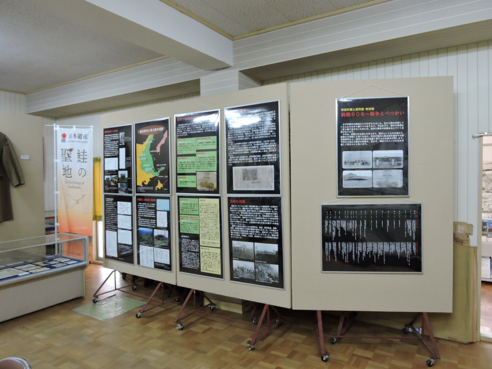 展示1