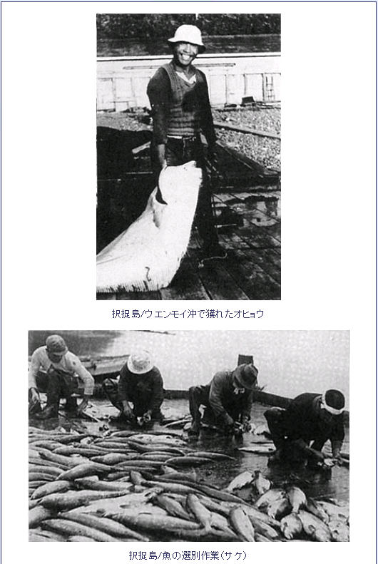 漁業1