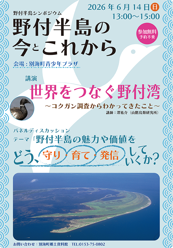 チラシ