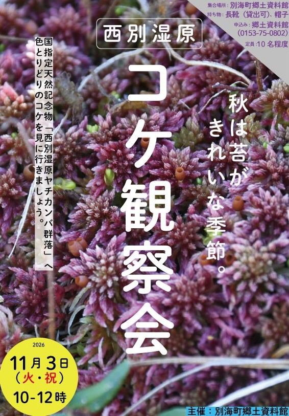 チラシ
